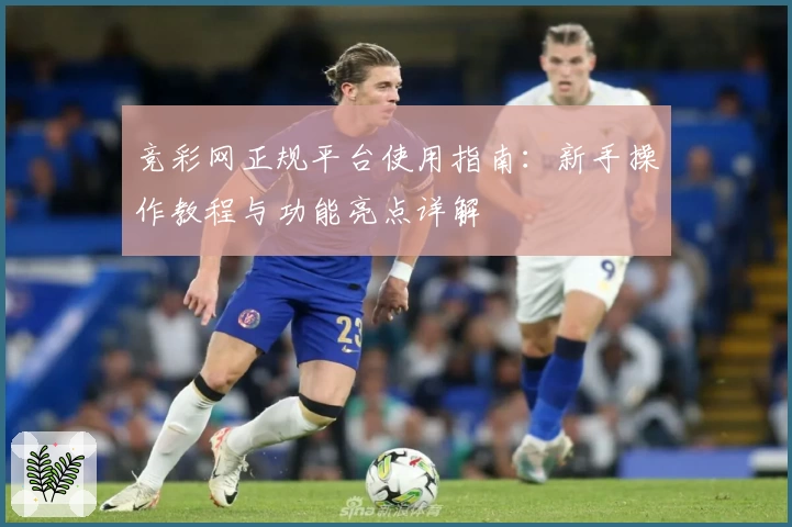竞彩网正规平台使用指南：新手操作教程与功能亮点详解