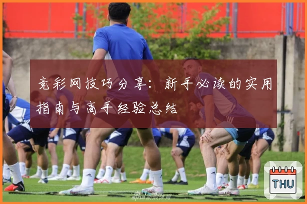 竞彩网技巧分享：新手必读的实用指南与高手经验总结