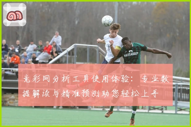 竞彩网分析工具使用体验：专业数据解读与精准预测助您轻松上手